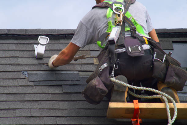 Best Roof Gutter Cleaning  in Penhook, VA